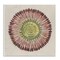 Stupell Industries Earthy Radial Aura Wall Plaque By June Erica Vess